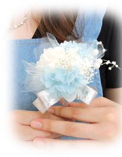 f:id:colorbless:20160727134346j:image
