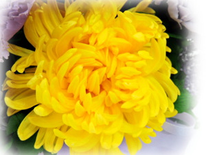 f:id:colorbless:20160731225518j:image
