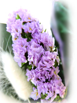 f:id:colorbless:20160731225920j:image