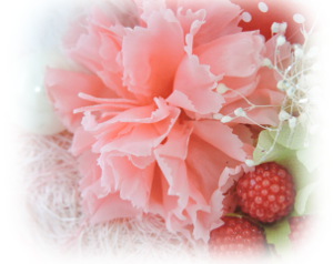 f:id:colorbless:20160829220208j:image