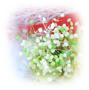 f:id:colorbless:20160829220458j:image
