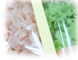 f:id:colorbless:20160911234524j:image