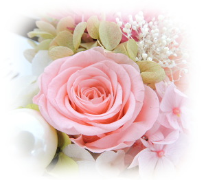 f:id:colorbless:20160918001824j:image