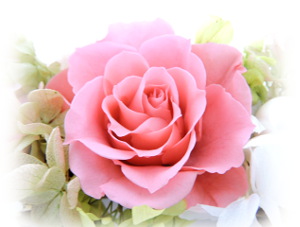f:id:colorbless:20160918001908j:image