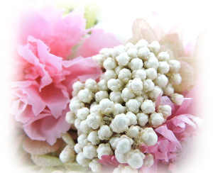 f:id:colorbless:20160918002156j:image