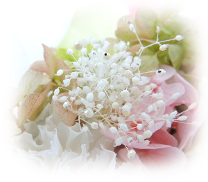 f:id:colorbless:20160918002234j:image