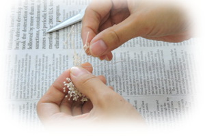 f:id:colorbless:20161006235612j:image f:id:colorbless:20161006235612j:image