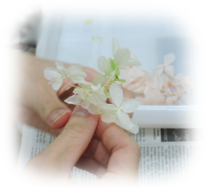 f:id:colorbless:20161008234014j:image f:id:colorbless:20161008234014j:image