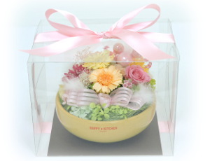 f:id:colorbless:20161010220217j:image f:id:colorbless:20161010220217j:image