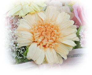 f:id:colorbless:20161010220317j:image f:id:colorbless:20161010220317j:image