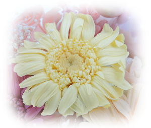 f:id:colorbless:20161010220413j:image f:id:colorbless:20161010220413j:image