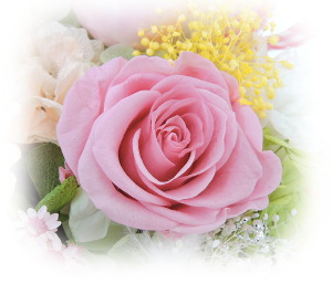 f:id:colorbless:20161010220611j:image f:id:colorbless:20161010220611j:image