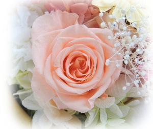 f:id:colorbless:20161010220714j:image f:id:colorbless:20161010220714j:image