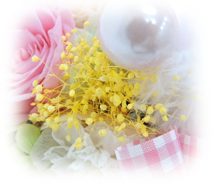 f:id:colorbless:20161010220929j:image f:id:colorbless:20161010220929j:image