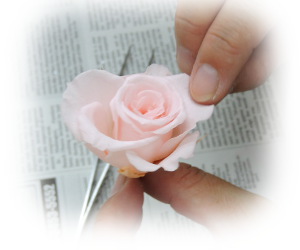 f:id:colorbless:20161023194455j:image f:id:colorbless:20161023194455j:image