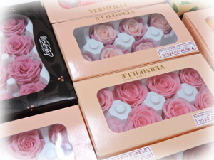 f:id:colorbless:20161025225630j:image f:id:colorbless:20161025225630j:image