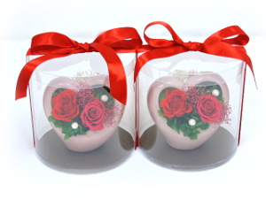 f:id:colorbless:20161028222753j:image