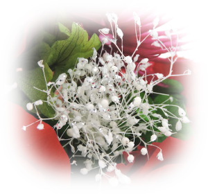 f:id:colorbless:20161104140020j:image