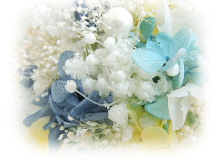 f:id:colorbless:20161217191952j:image