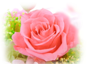 f:id:colorbless:20161228214711j:image