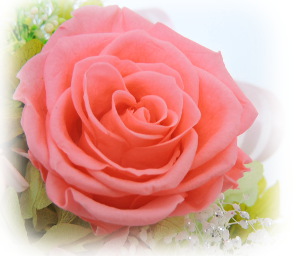 f:id:colorbless:20161228214734j:image