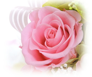 f:id:colorbless:20161228214834j:image
