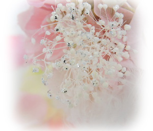 f:id:colorbless:20161228214906j:image