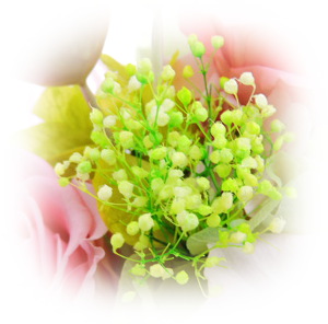 f:id:colorbless:20161228214932j:image