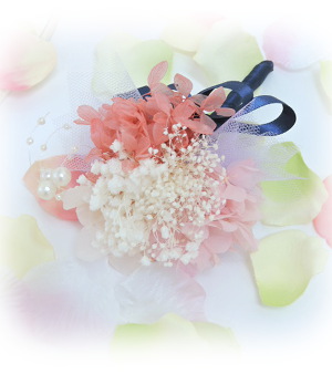f:id:colorbless:20170116161749j:image