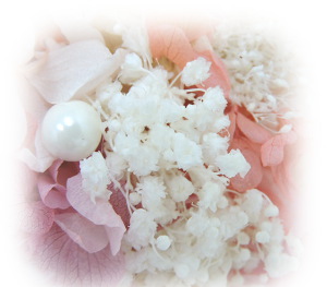 f:id:colorbless:20170116162230j:image