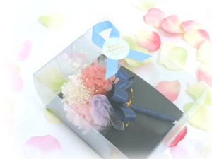 f:id:colorbless:20170116162459j:image