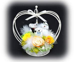 f:id:colorbless:20170310001312j:image