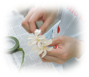 f:id:colorbless:20170318213149j:image