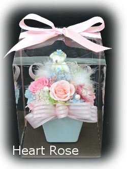 f:id:colorbless:20170326234559j:image