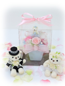 f:id:colorbless:20170326234701j:image