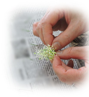 f:id:colorbless:20170329001244j:image f:id:colorbless:20170329001244j:image