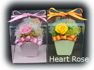 f:id:colorbless:20170329215120j:image f:id:colorbless:20170329215120j:image