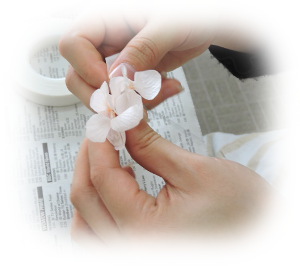 f:id:colorbless:20170408001251j:image
