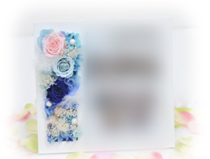 f:id:colorbless:20170502010514j:image