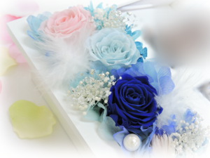 f:id:colorbless:20170502010652j:image