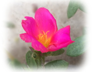 f:id:colorbless:20170613224753j:image