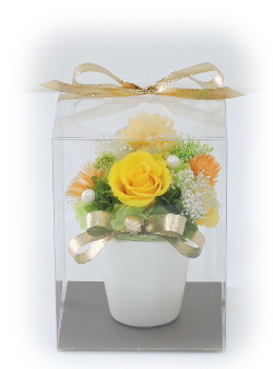 f:id:colorbless:20170624225035j:image