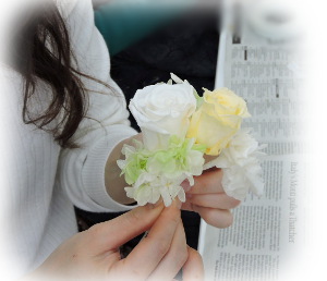 f:id:colorbless:20170706215458j:image