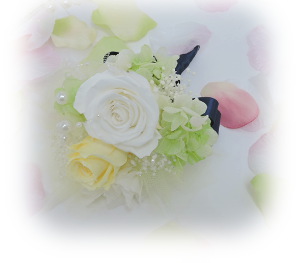 f:id:colorbless:20170706215558j:image