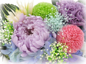 f:id:colorbless:20170802221936j:image