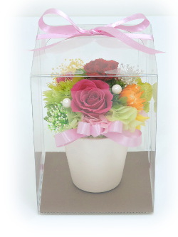 f:id:colorbless:20170804224115j:image
