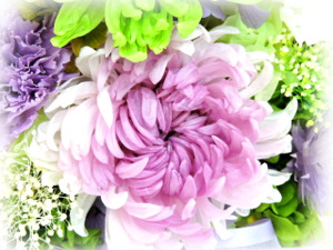f:id:colorbless:20170812232542j:image
