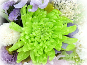 f:id:colorbless:20170812232626j:image