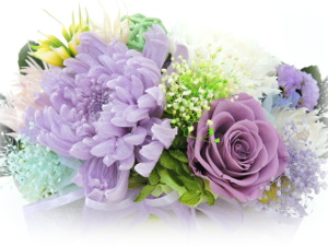 f:id:colorbless:20170814202625j:image