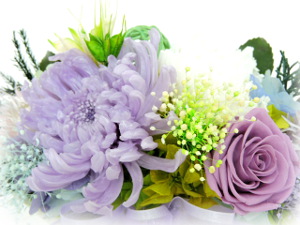 f:id:colorbless:20170816223942j:image